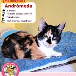 Andrómeda | 5 meses | Hembra