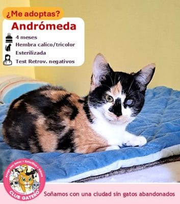 Andrómeda | 5 meses | Hembra