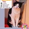 Tito_ClubGatero_01