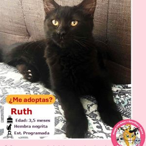 Ruth | 3,5 meses | Hembra