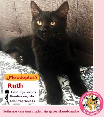 Ruth | 3,5 meses | Hembra