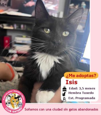 Isis | 3,5 meses | Hembra